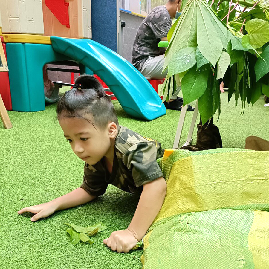 thử thách thao trường