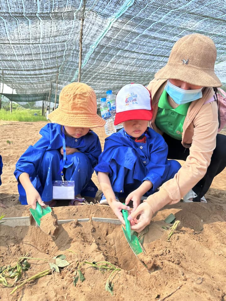 Mầm non dã ngoại