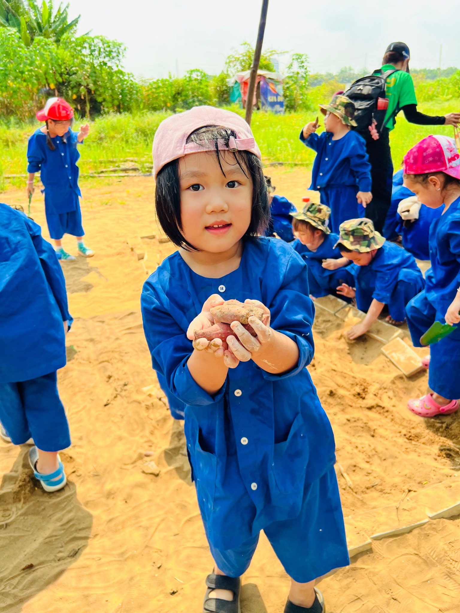 Mầm non dã ngoại